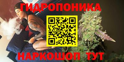 спиды Будённовск