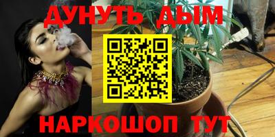 шишки Бузулук