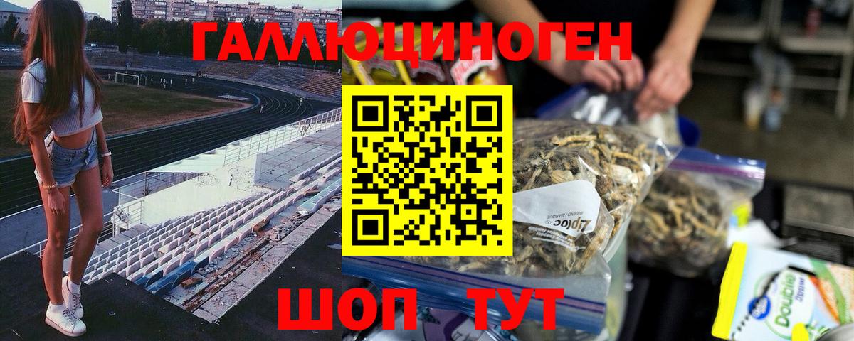 Топки  Псилоцибиновые грибы мухоморы  Вход с VPN  Галлюциногенные грибы Psilocybe 