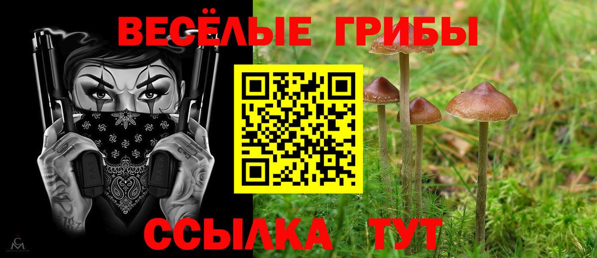 Галлюциногенные грибы MAGIC MUSHROOMS Топки